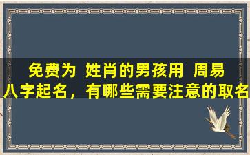 免费为  姓肖的男孩用  周易八字起名，有哪些需要注意的取名重要一环